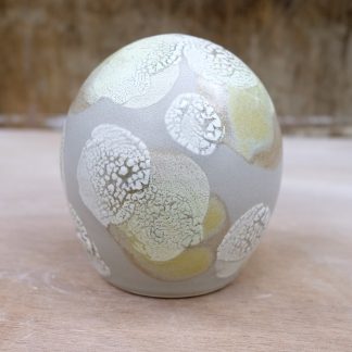 lichen form