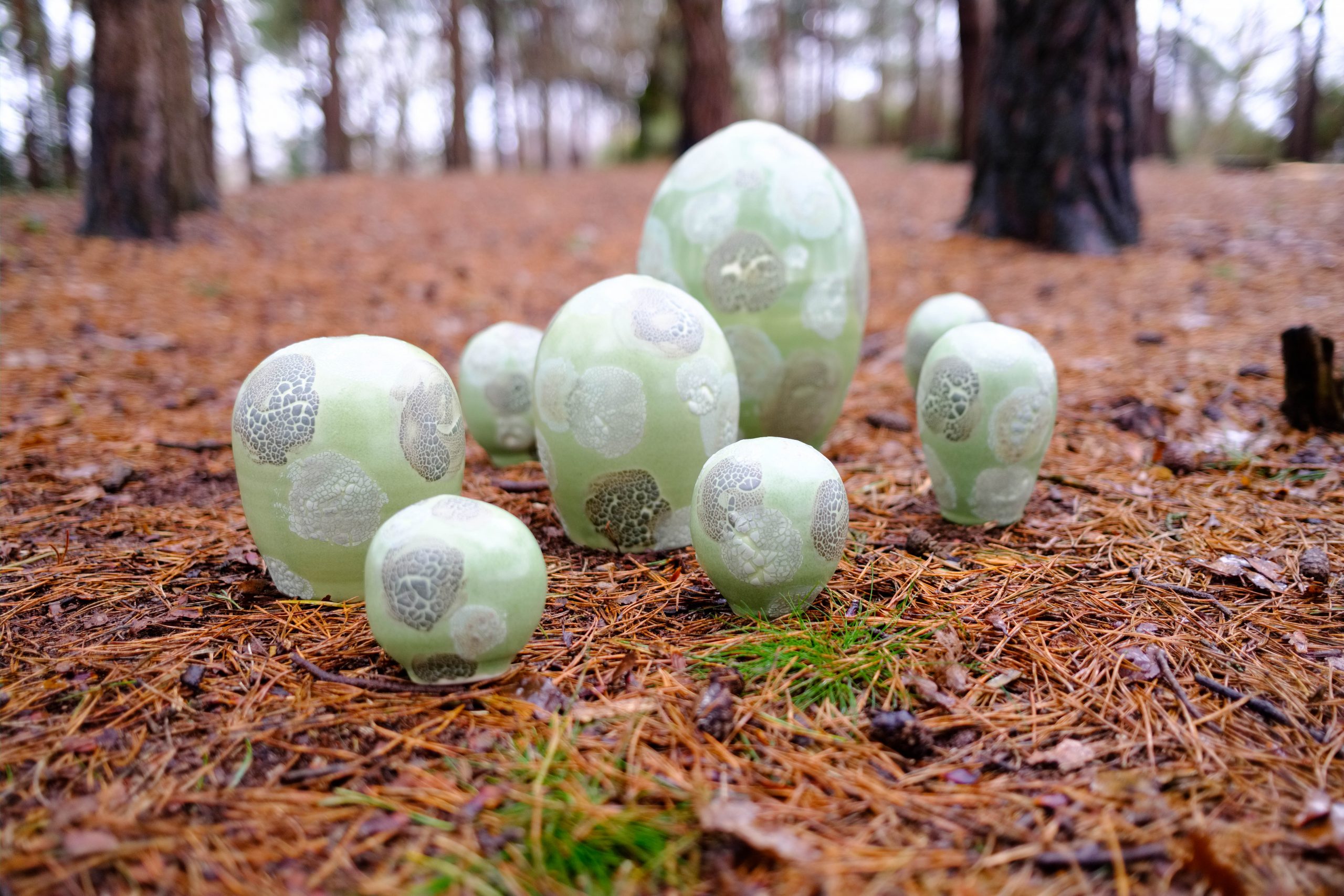 Lichen inspired sculpture